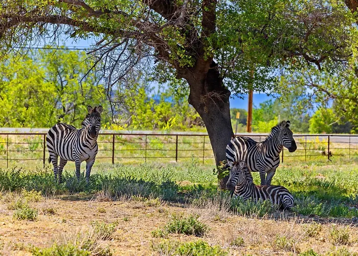 Holiday home Zebra Ranch 16-guest Compound Mtn Vuspapkl Bal